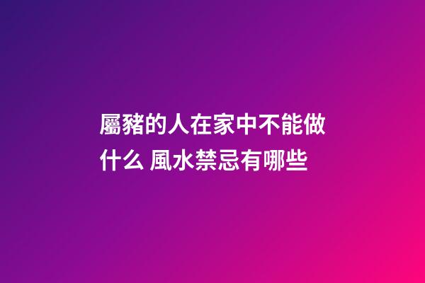 屬豬的人在家中不能做什么 風水禁忌有哪些